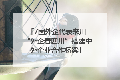 7国外企代表来川 “外企看四川”搭建中外企业合作桥梁