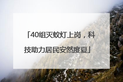 40组灭蚊灯上岗，科技助力居民安然度夏