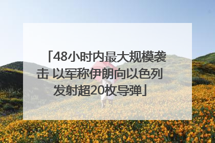 48小时内最大规模袭击 以军称伊朗向以色列发射超20枚导弹