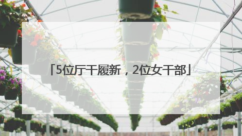 5位厅干履新，2位女干部