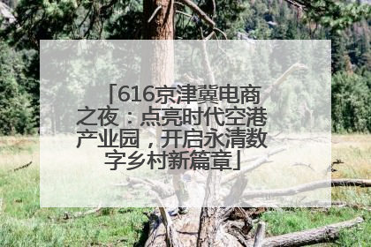 616京津冀电商之夜：点亮时代空港产业园，开启永清数字乡村新篇章