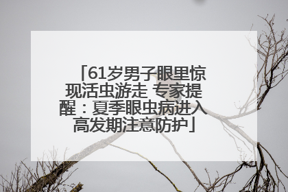 61岁男子眼里惊现活虫游走 专家提醒：夏季眼虫病进入高发期注意防护