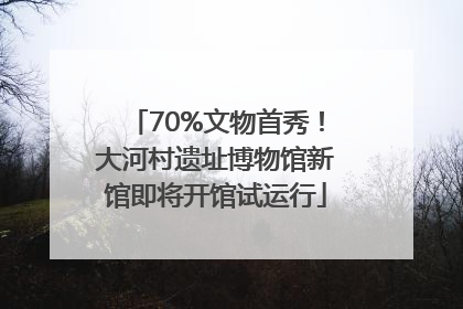 70%文物首秀！大河村遗址博物馆新馆即将开馆试运行