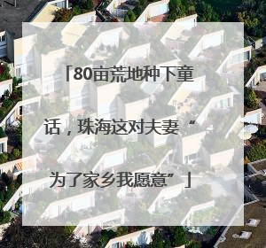 80亩荒地种下童话，珠海这对夫妻“为了家乡我愿意”