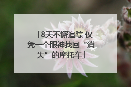 8天不懈追踪 仅凭一个眼神找回“消失”的摩托车