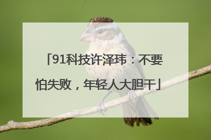 91科技许泽玮：不要怕失败，年轻人大胆干