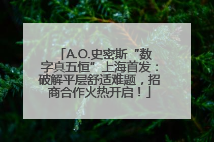 A.O.史密斯“数字真五恒”上海首发：破解平层舒适难题，招商合作火热开启！