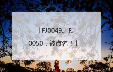 FJ0049、FJ0050，被点名！