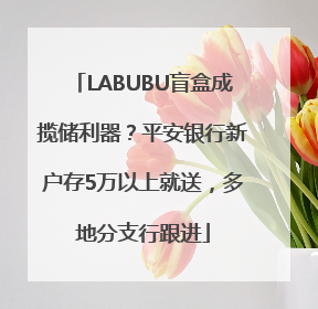 LABUBU盲盒成揽储利器？平安银行新户存5万以上就送，多地分支行跟进